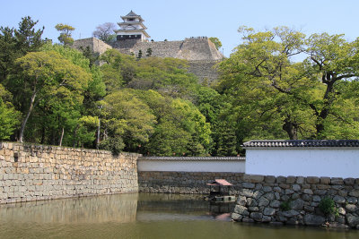 Marugame Castle from outside the park