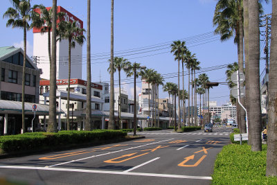 Palm tree-lined main street in Uwajima