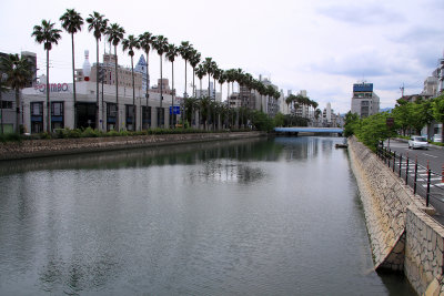 Palms lining the Enokuchi-gawa