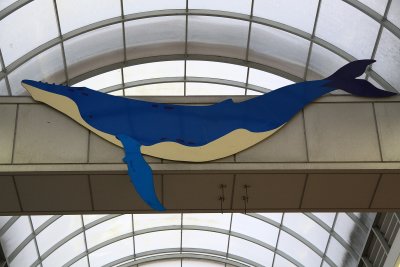 Whale decoration in the Obiyamachi arcade