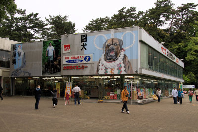 Souvenir shop with Tosa fighting dog image