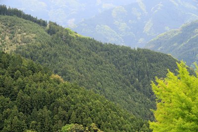 Mountain scenery in Nishi (West) Iya