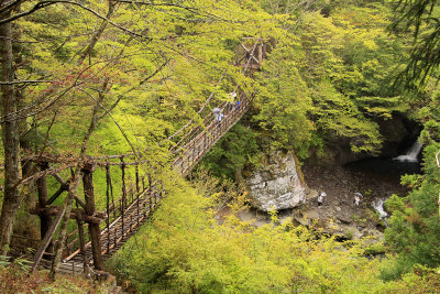 Early morning at the Oku-Iya Kazura-bashi