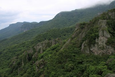 Forested mountainside along the gorge