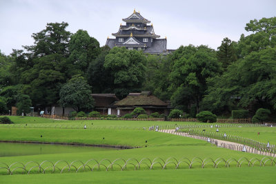 Okayama-jō's donjon rising over Kōraku-en