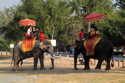 Elephant-riding tourists taking photos of each other