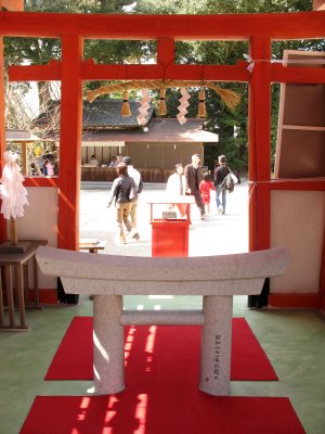 Sacred torii within the Ladies' Shrine