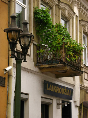 Streetlamp and ivy-adorned balcony