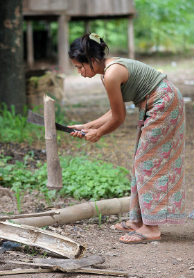 Splitting Bamboo  Sinh