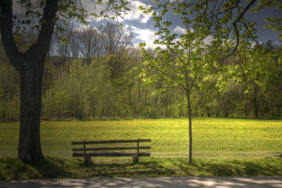 Vienna / Lainzer Tiergarten