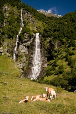 IMG_2779.jpg