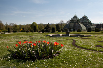 Palmenhaus - Schnbrunn