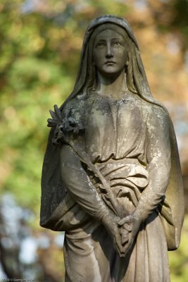 Lycakivs'ke graveyard -  Witkowska grave