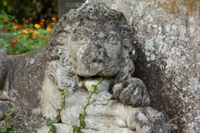 Lycakivs'ke graveyard - Baron v. Hauser grave