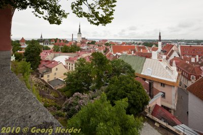 tallin