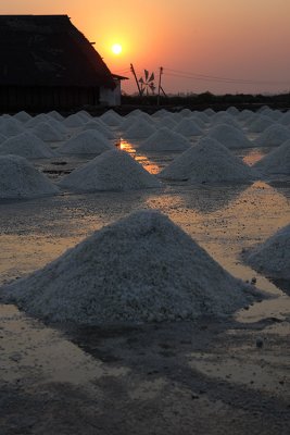 Fields of salt in Thailand