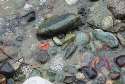 Colorful variety in the river rock