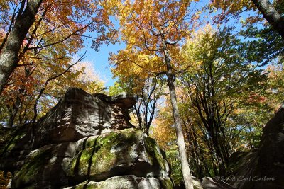 Allegany State Park - Thunder Rocks Area