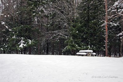 IMG_2734-snowbench.jpg