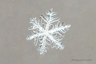 IMG_0736-snowflake.jpg