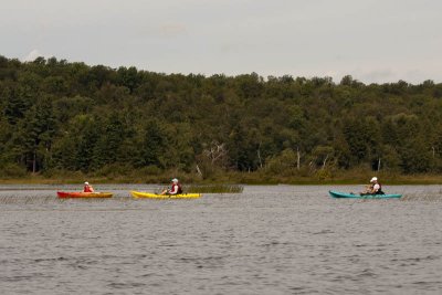 _MG_9678.jpg