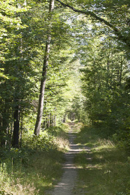 _MG_9801.jpg