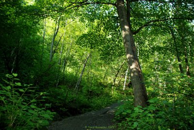 Le Mont Royal