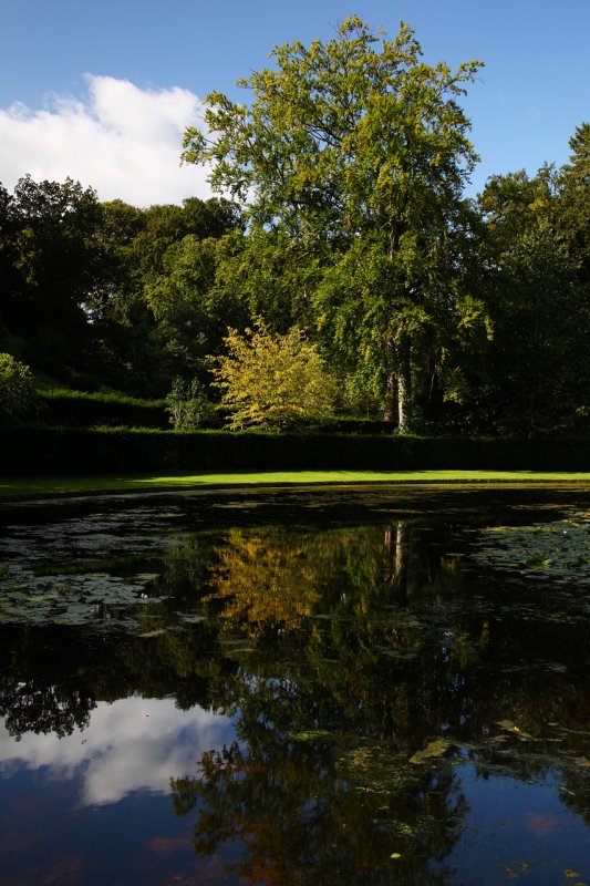 Reflection