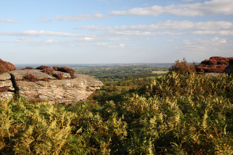 Brimham Rocks