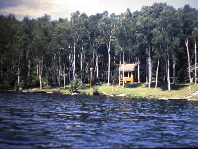 Birchwood Cove Cabins from the lake