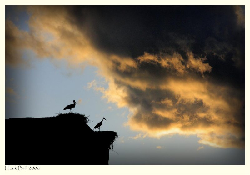 Storks on the El Badi Palace
