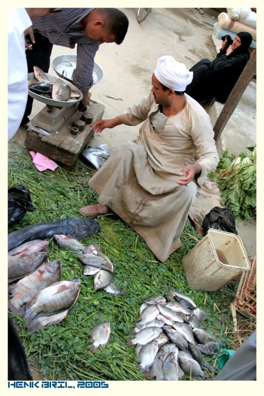 Fresh Fish Seller