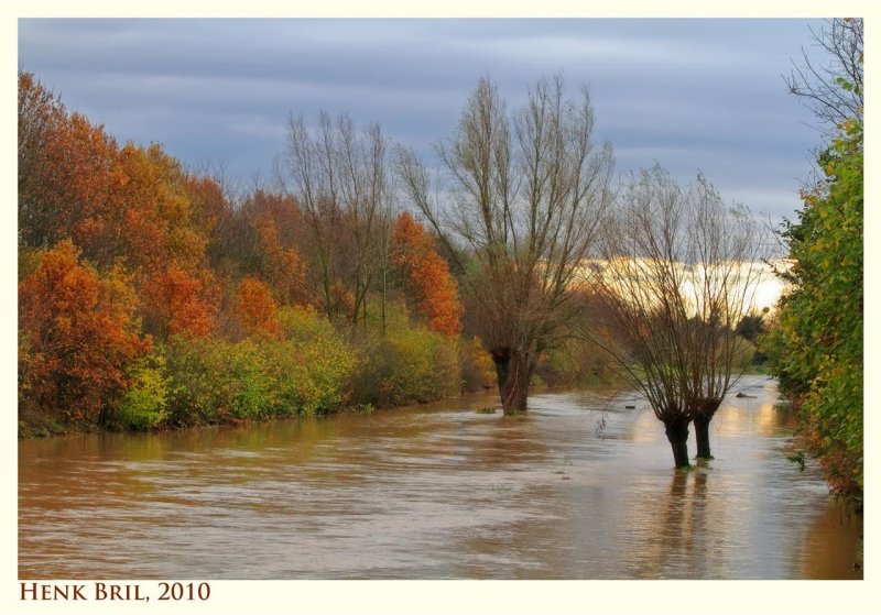 Autumn near the Vloedgraaf - high water