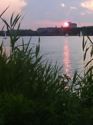 Sunset over MIT, Cambridge