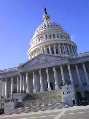 The Capitol (duh)