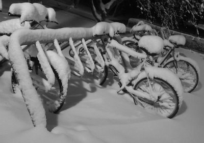 Bikes in snow, Davis Square