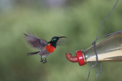 In flight