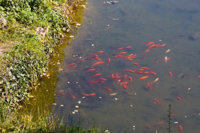 IMG_0058.jpg