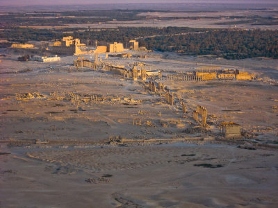 Palmyra  kvldslinni