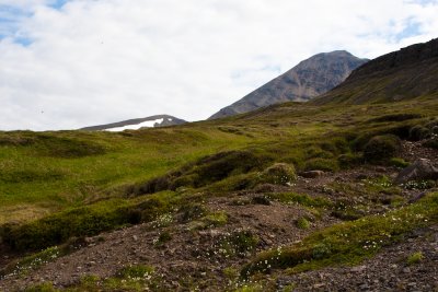 Baula 2009  Fjalli byrtist