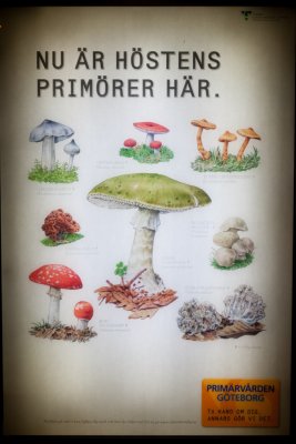 Göteborg 08 2009
