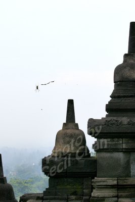Ind9218075 Borobudur copy.jpg