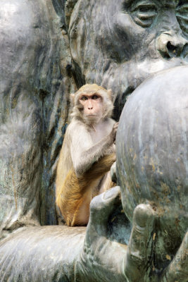 008Hainan2 Monkey Island.jpg