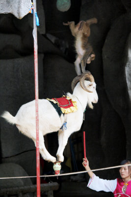 005Hainan2 Monkey Island.jpg