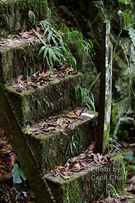 063 Fairy Cave.jpg