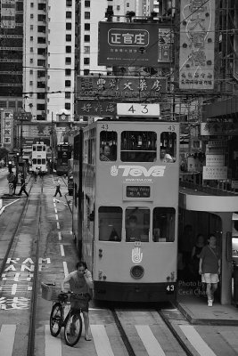 040 HK Trams.jpg