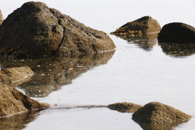 Bintan Nirwarna Gardens Beach09.jpg