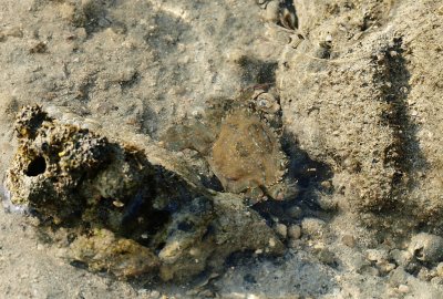 Bintan Nirwarna Gardens Beach10.jpg