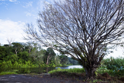 Tasik Raban010.jpg