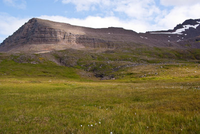 g1/97/684897/3/115729408.ReXdhCQc.jpg